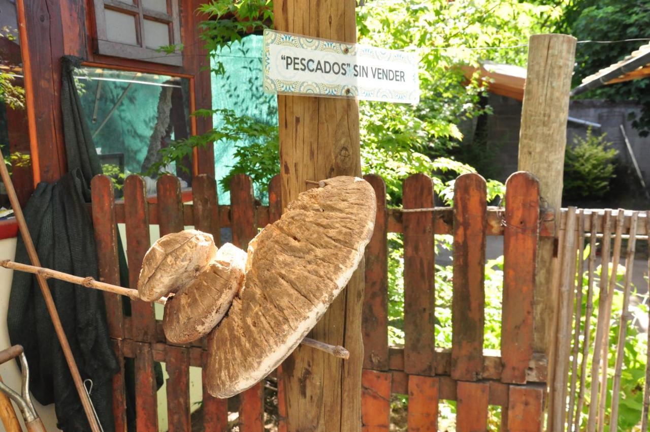 La Casa Del Arbol - Hostel Ель-Больсон Екстер'єр фото