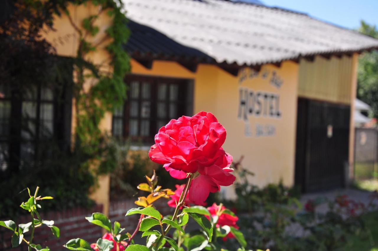 La Casa Del Arbol - Hostel Ель-Больсон Екстер'єр фото